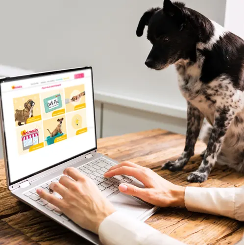 Adopter un anima ça commence en ligne